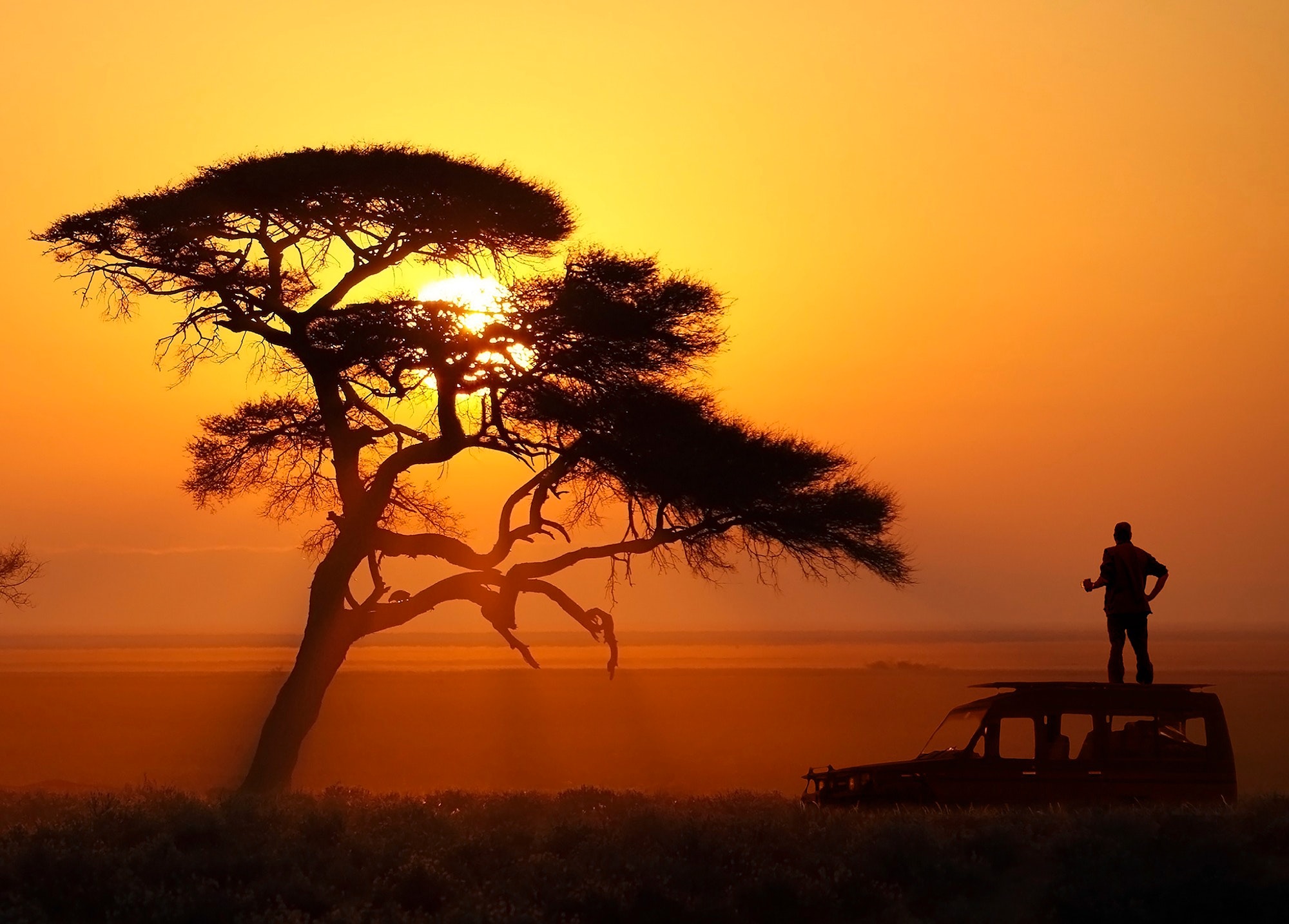 Adventure Travel in Africa: From the Serengeti to Cape Town.
