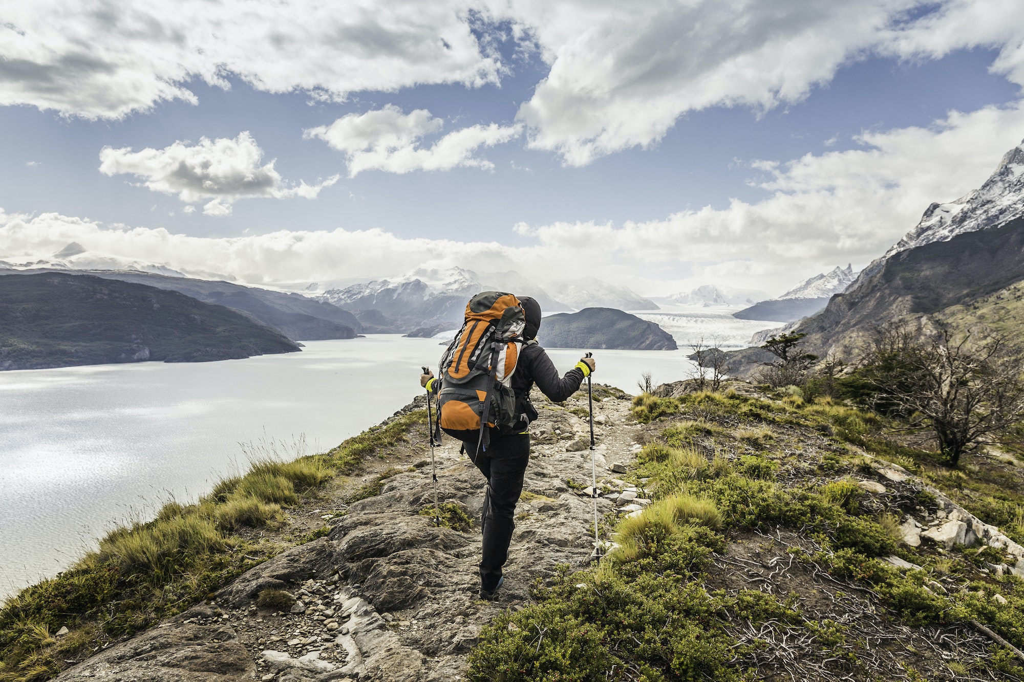 Rear view of female hiker hiking alongside Grey glacier lake, Torres del Paine National Park, Chile